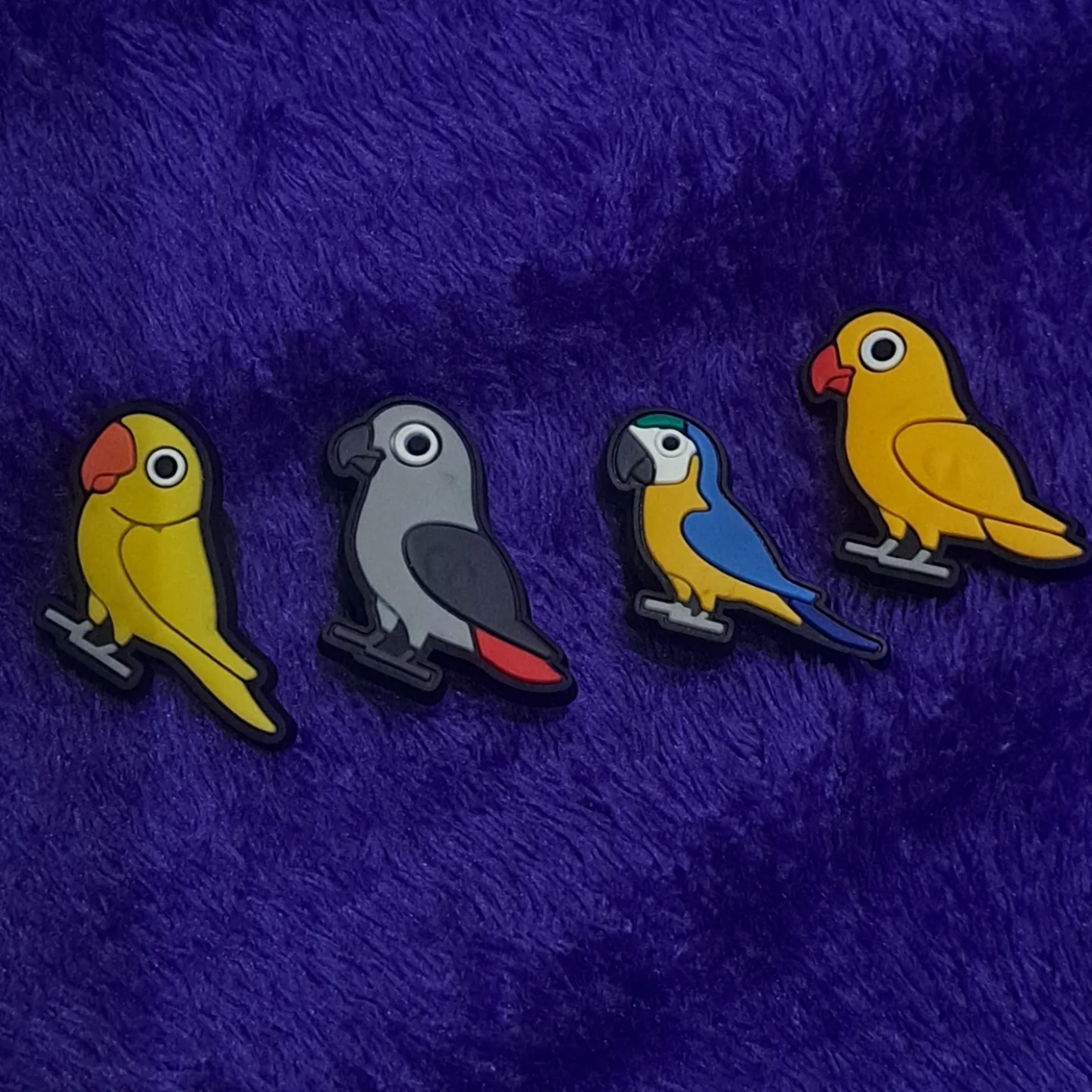Birb jibbitz