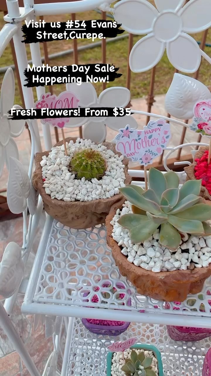 Mother’s Day Gift Makeup