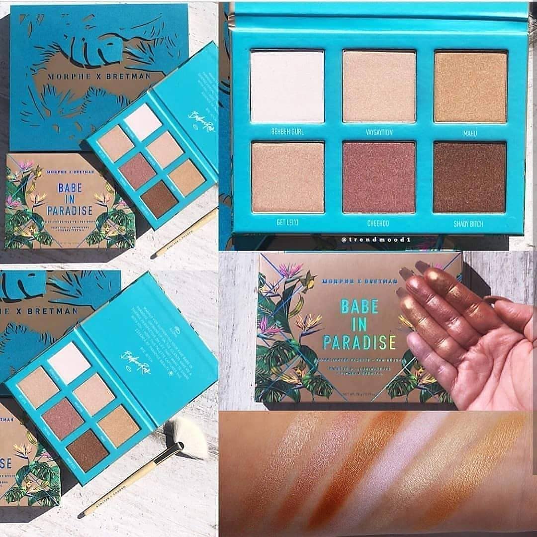 Highlighter Palette & Custom Fan Brush