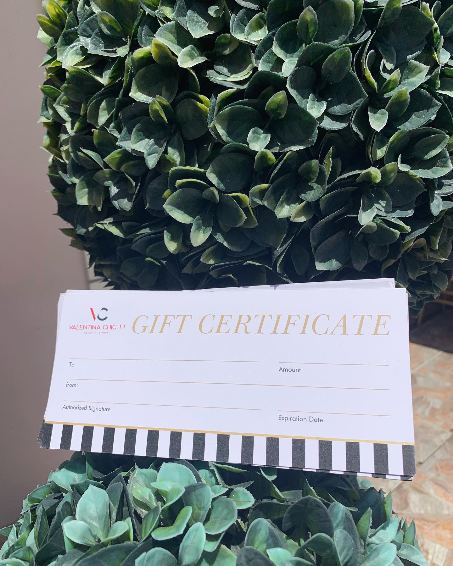 Gift Certificate