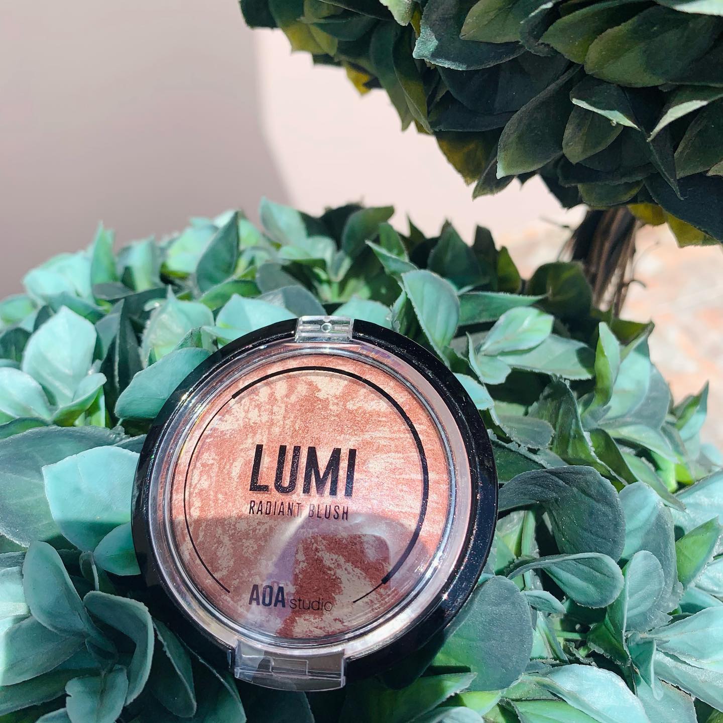 AOA Lumi Blush wine golden apricot