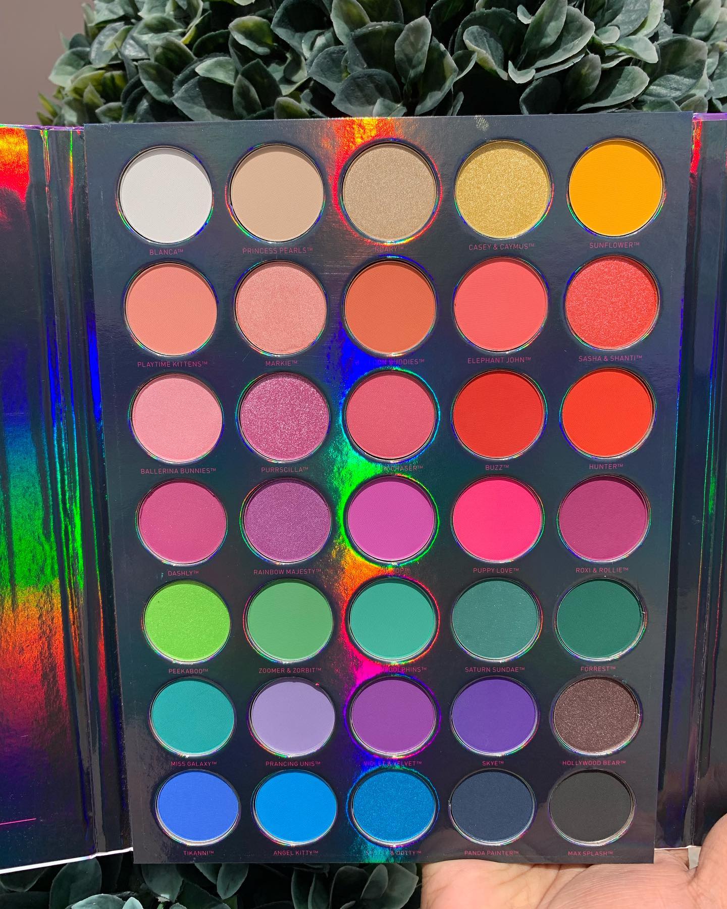 Morphe x Lisa Frank 35B Palette