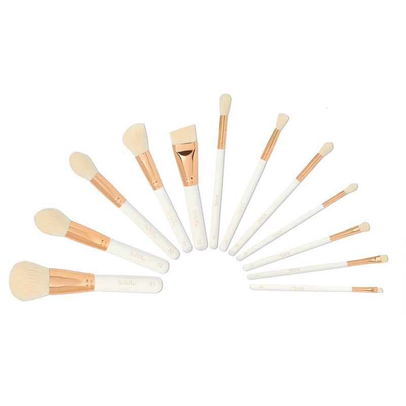 12 Piece Brush Set